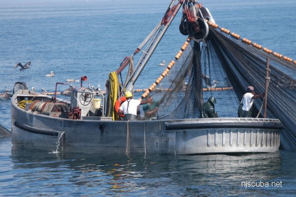 Purse Seiners & Gill-netters ~ New Jersey Scuba Diving