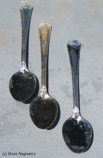 Cheap spoons from the shipwreck Mohawk