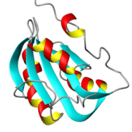 protein molecule