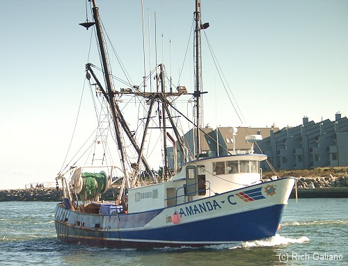 Trawlers (Draggers) ~ New Jersey Scuba Diving