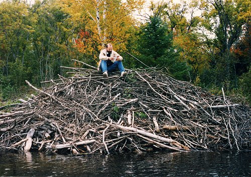 Beaver lodge