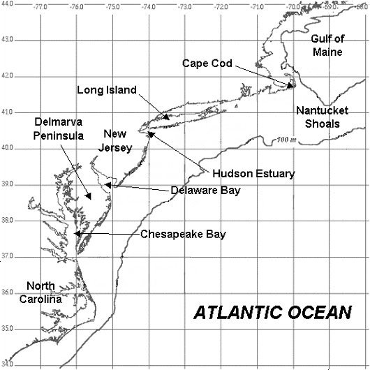 Mid-Atlantic Bight