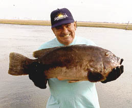 Tautog ( Blackfish )