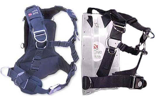 backplate with web harness