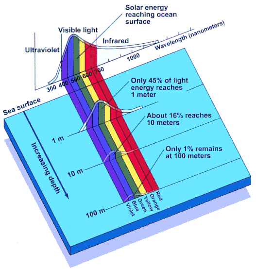 spectral absorption of water