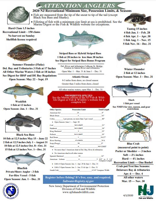 Getting a New Jersey Fishing License: A Simple Guide