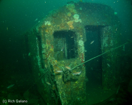 Redbird Subway Cars Reef - intact underwater 5 years after sinking