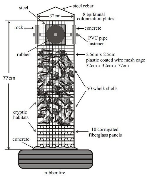 Experimental reef habitat