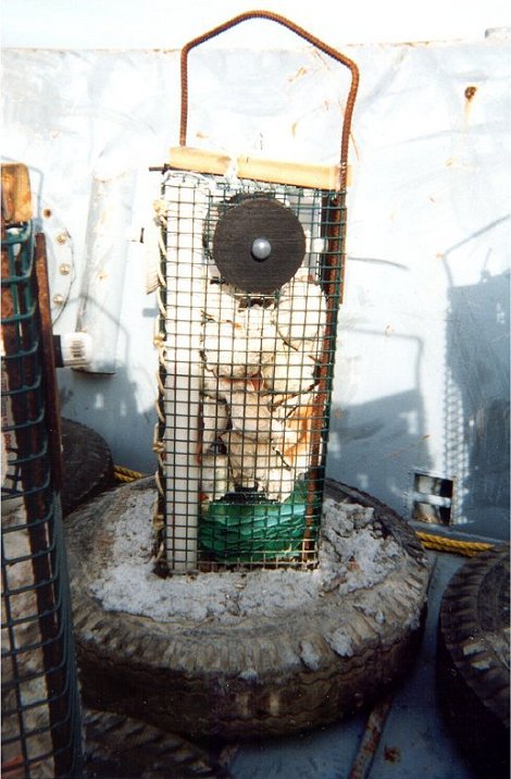 An experimental reef habitat ready for deployment