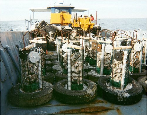 Thirty experimental habitats en route to the Barnegat Light Reef study site