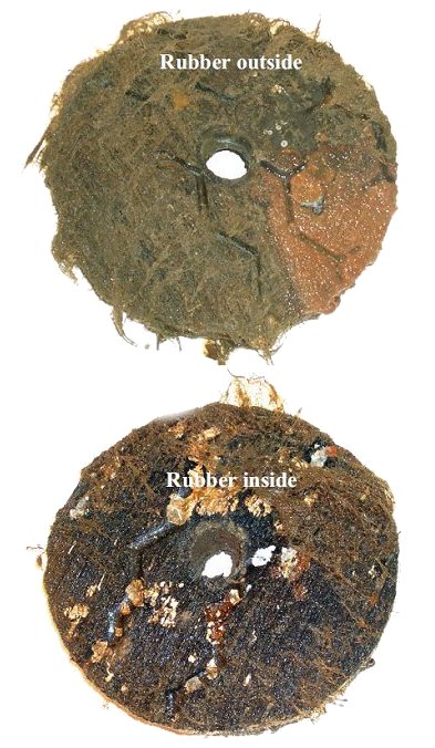 Marine life growth on rubber colonization plates located outside mesh (top) and inside mesh