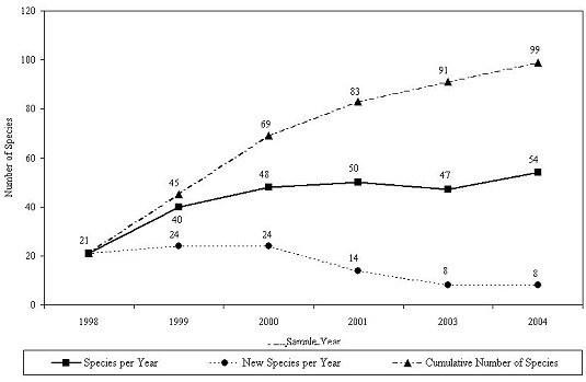 Total number of taxa identified to specific level inhabiting experimental reef for sampling years 1998-2004