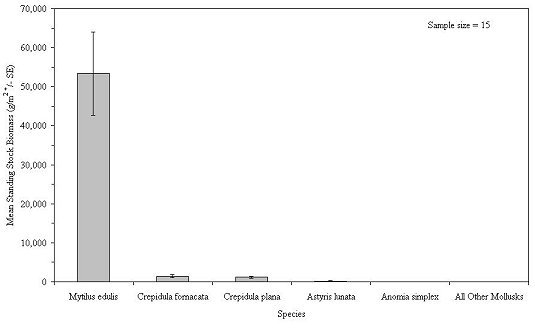 Mean standing stock biomass of molluscan species inhabiting experimental reef habitats, 1998-2004