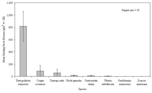 Mean standing stock biomass of juvenile or small fish species inhabiting experimental reef habitat units, 1998-2004