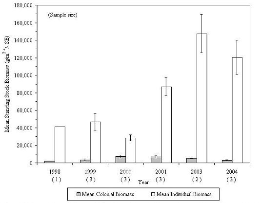 Mean standing stock biomass of all organisms colonizing experimental reef habitats by organism type and sampling year, 1998-2004