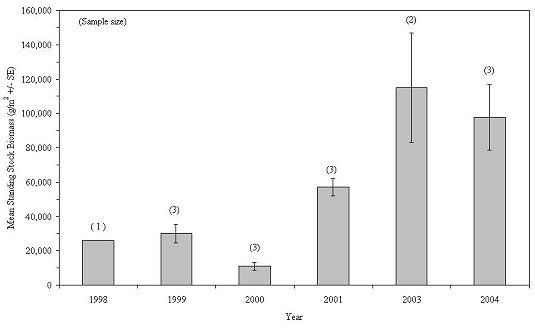 Mean standing stock biomass of mollusca on experimental reef habitats, 1998-2004