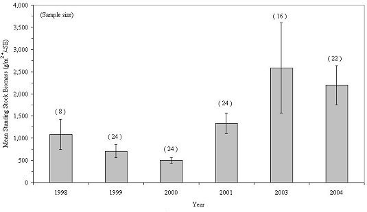 Mean standing stock biomass  of attached epibenthic invertebrates inhabiting colonization plates for sampling years 1998-2004