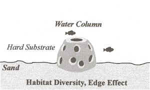 Reef Benefits - Habitat Diversity