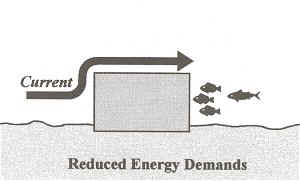 Reef Benefits - Reduced Energy