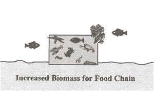 Reef Benefits - Increased Biomass