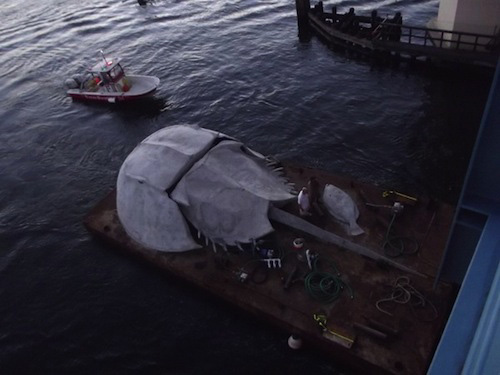 Horseshoe Crab barge reef