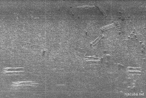 Redbird Subway Cars Reef - Side Scan Sonar Image