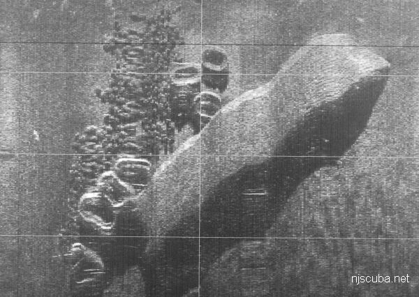 Onondaga reef side-scan