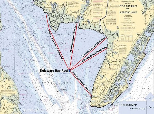Delaware bay Reef