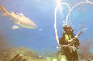 New Jersey State Aquarium - Camden