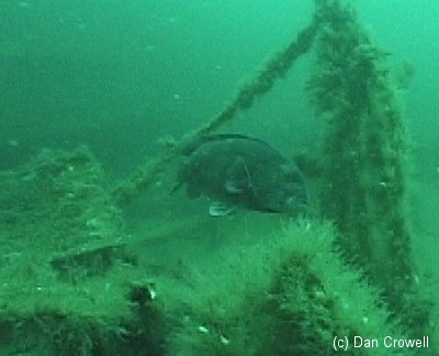 Shipwreck Adriatic