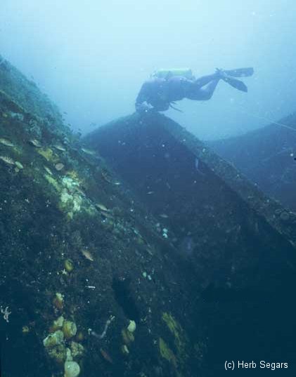 new jersey diving