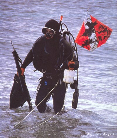 Diver exits water with dive flag in hand