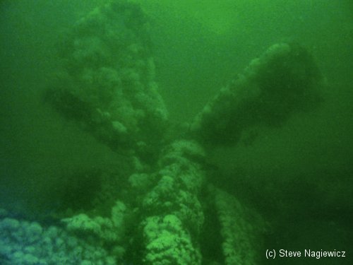 Shipwreck Brunette propeller