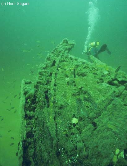 ferry Cranford reef