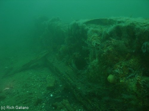 Shipwreck Hankins schooner barge walls