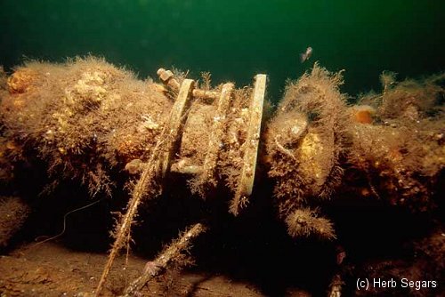 Shipwreck Ida K