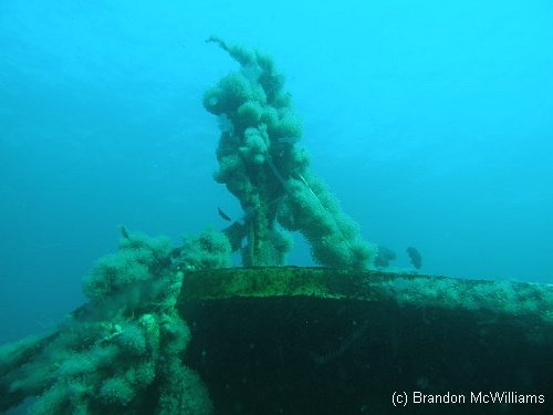 Shipwreck John Marvin