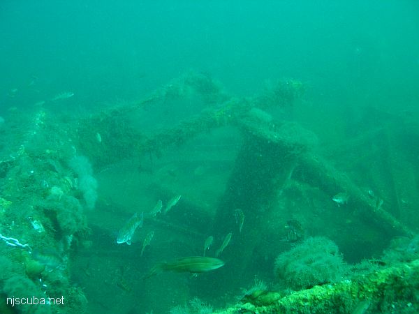Shipwreck Mohawk