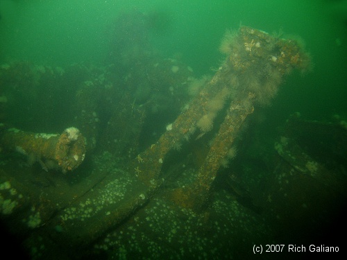 Molasses Barge reef