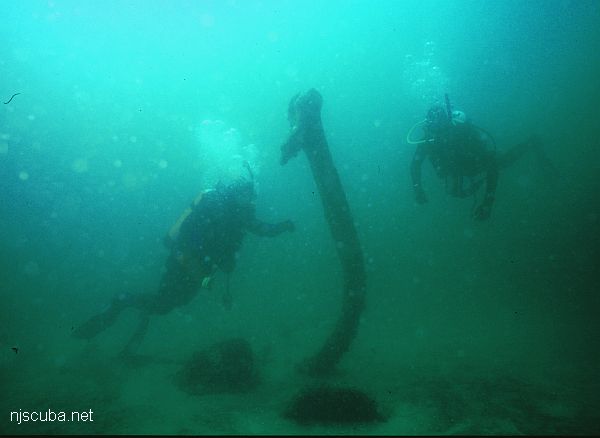 Shipwreck Panther