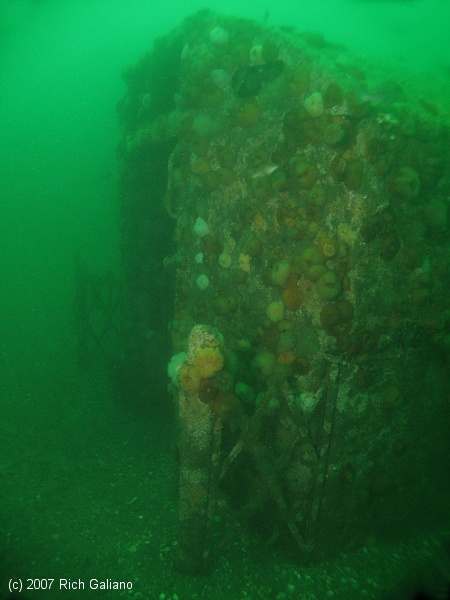 Redbird Subway Cars Reef - underwater 3 years after sinking