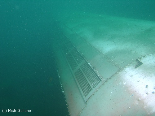 Redbird Subway Cars Reef - Roof - Underwater Immediately after sinking