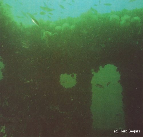 Spartan tugboat reef