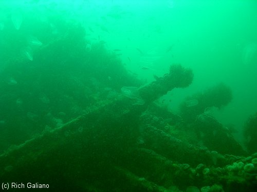 Shipwreck Tolten