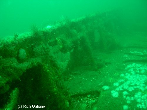 Shipwreck Tolten